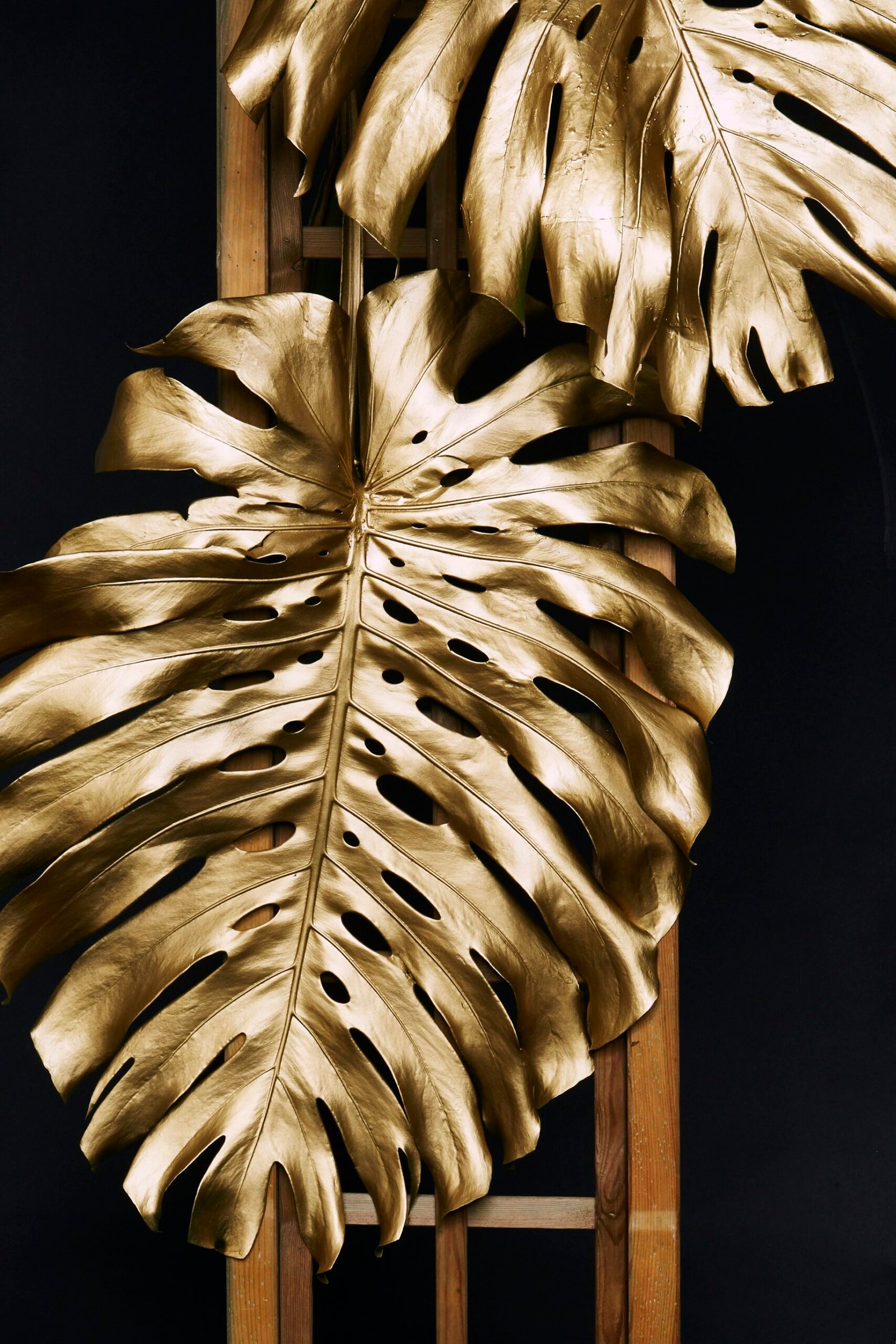Understanding the Costs of a Gold IRA