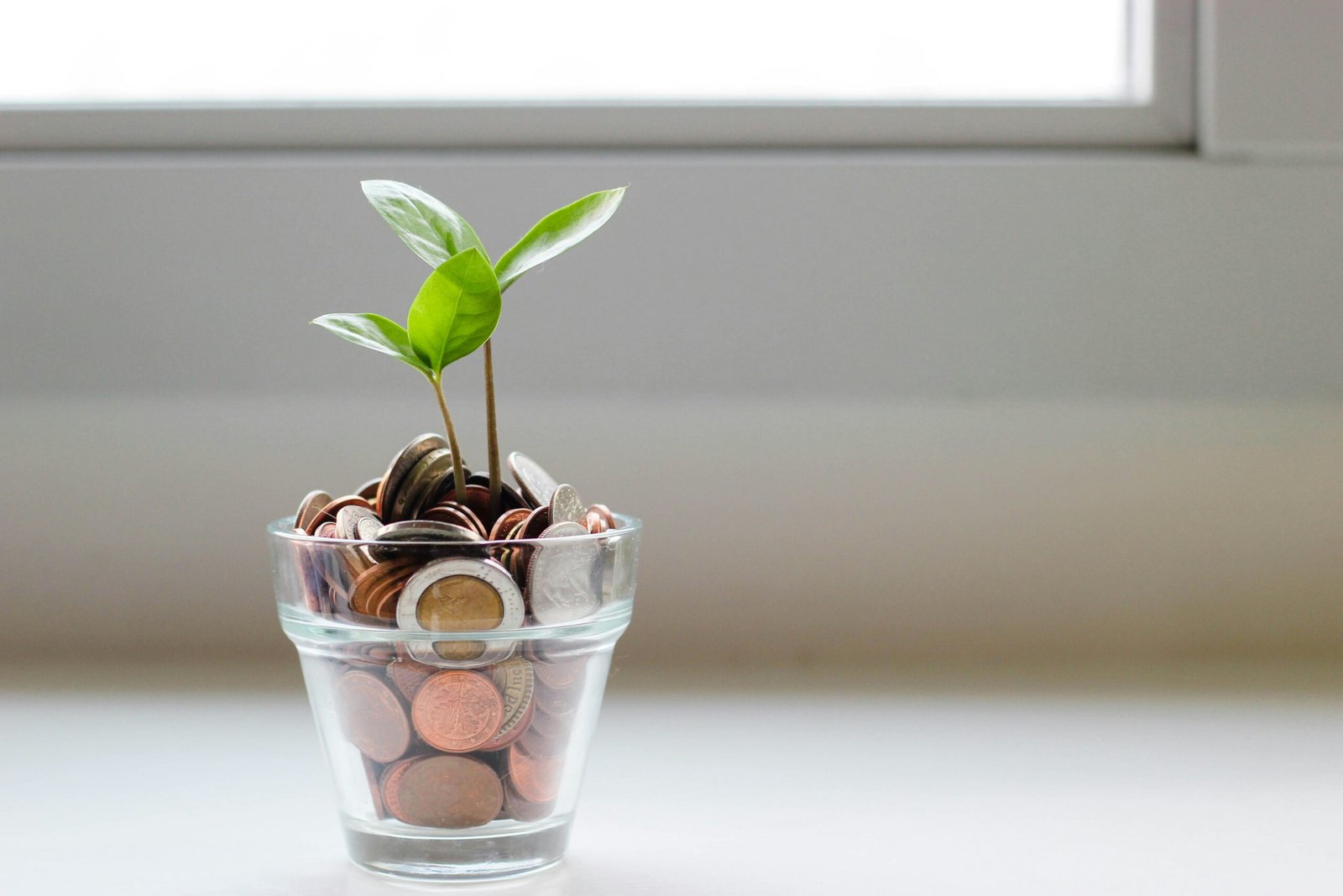 Empowerment Retirement