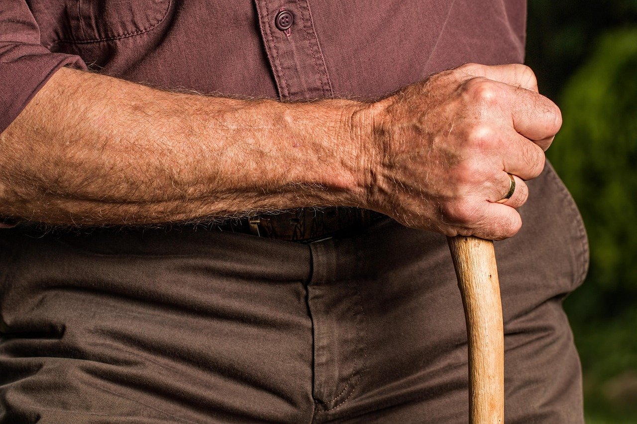 Roth Vs 401k Vs Ira