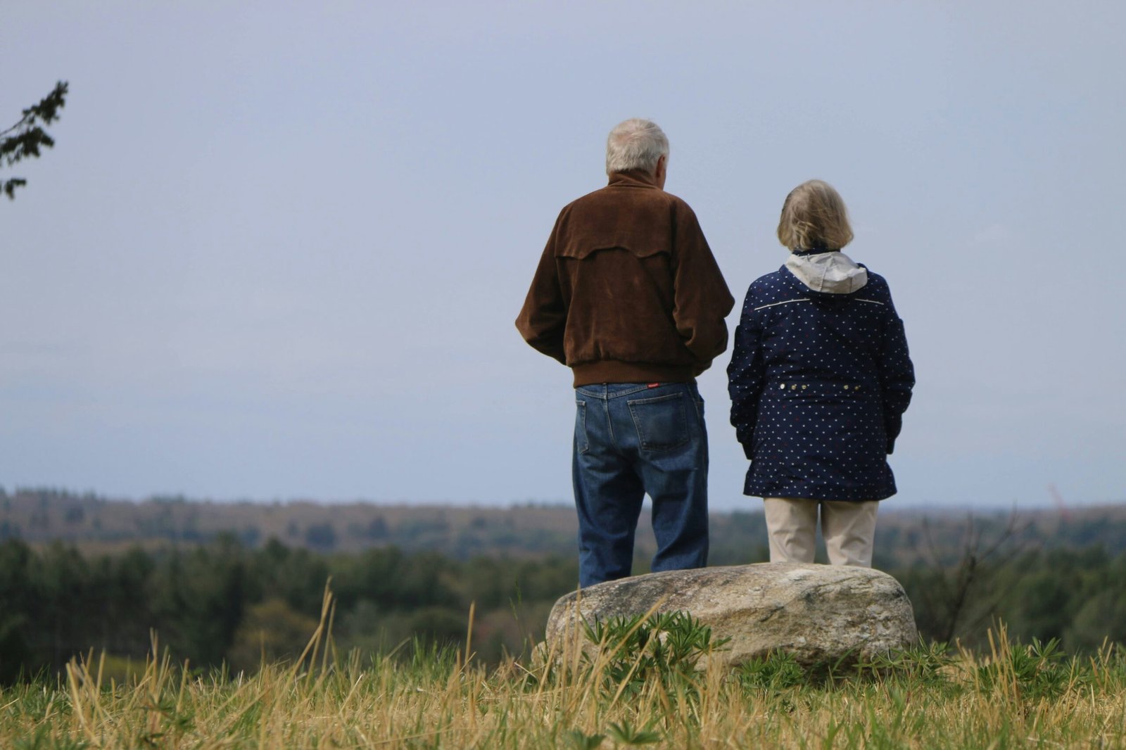 Roth Vs 401k Vs Ira