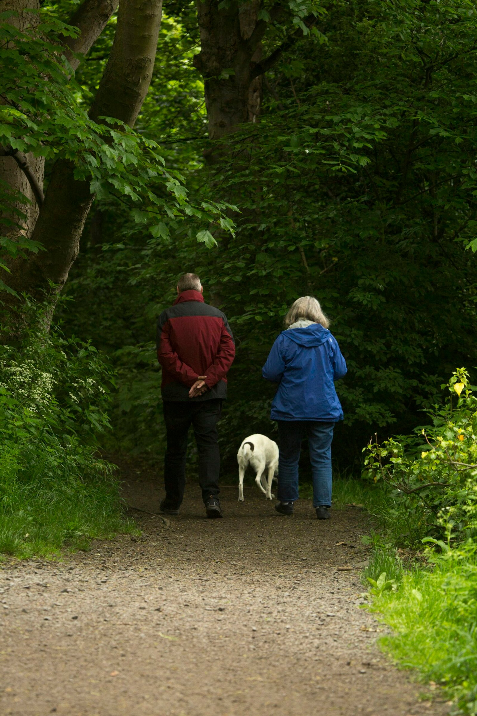 Social Security Retirement Ages Chart