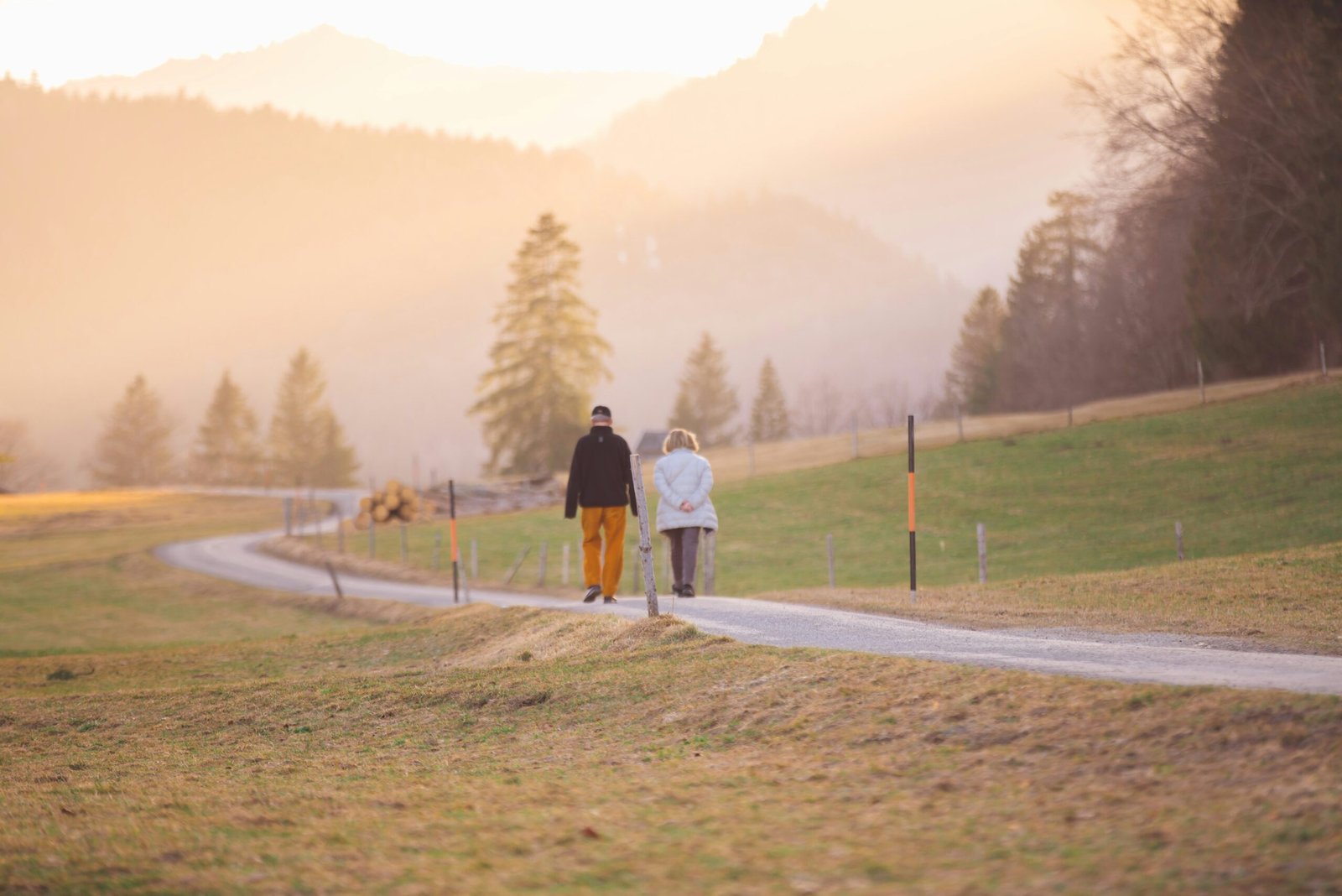 Social Security Retirement Ages Chart